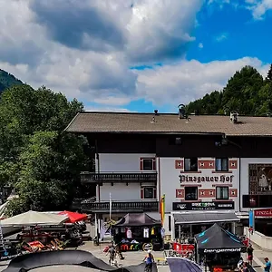 Pinzgauerhof - Inclusive Evening Dinner Зальбах-Хинтерглемм